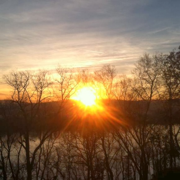 Meet your Posher, Larry - Picture 1 of 1